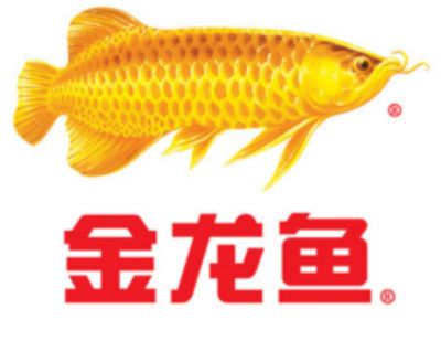 金龍魚研究報(bào)告怎么寫，如何撰寫金龍魚研究報(bào)告 龍魚百科 第5張