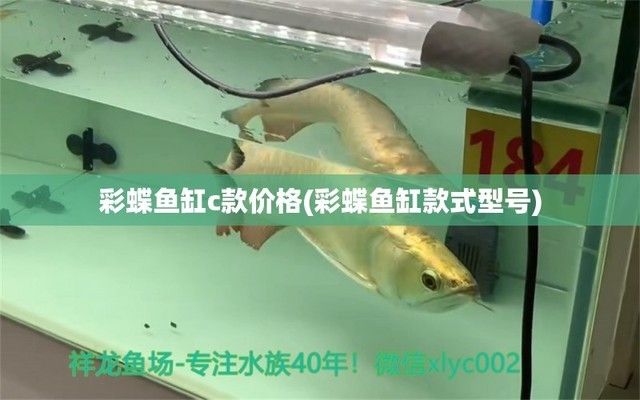 彩蝶魚缸c款具體型號(hào)，彩蝶魚缸c款lt-c尺寸對(duì)比 魚缸百科 第3張