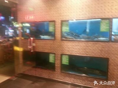 魚樂匯魚缸，魚樂匯魚缸養(yǎng)護(hù)技巧 魚缸百科 第3張