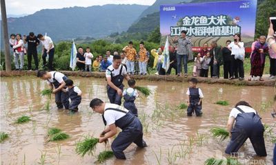 金龍魚種植基地電話 龍魚百科 第3張