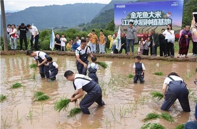 金龍魚種植基地電話 龍魚百科 第2張