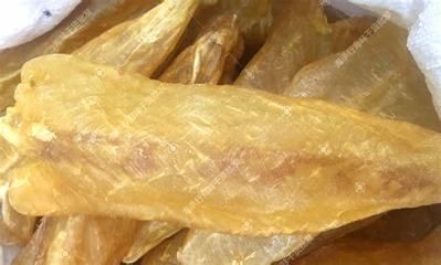 金龍魚膠和鳘魚膠區(qū)別 龍魚百科 第2張