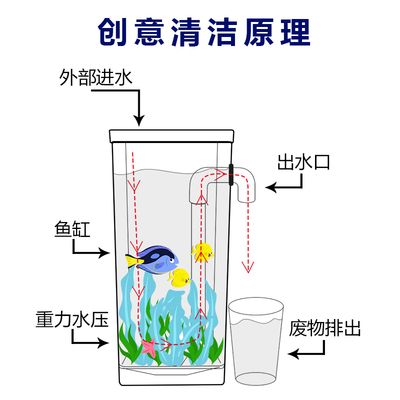 如何判斷魚缸該換水了，如何判斷魚缸是否需要換水