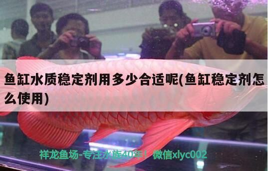 奧里諾三間魚繁殖水質(zhì)調(diào)節(jié)方法，奧里諾三間魚的水質(zhì)調(diào)節(jié) 觀賞魚市場（混養(yǎng)魚） 第4張