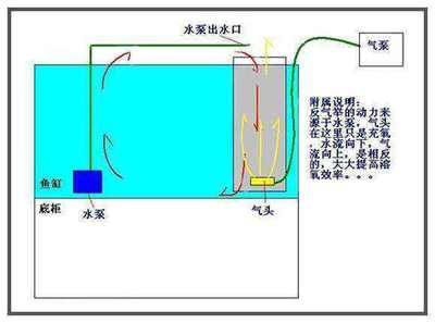 魚缸水泵的原理圖，魚缸水泵維護周期如何選擇合適 魚缸百科 第1張