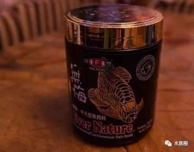 龍魚訓(xùn)食顆粒飼料有哪些，訓(xùn)練龍魚食用顆粒飼料的選擇