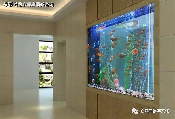 魚缸放進門正對面好不好，如何布置魚缸美化家居魚缸風水布局提升財運 魚缸百科 第1張