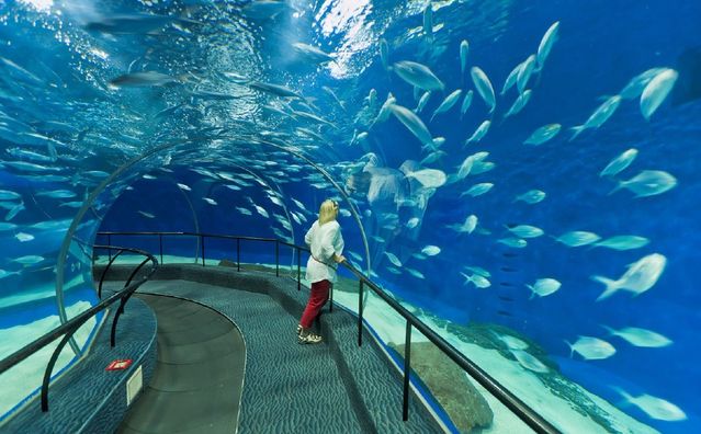 上海水族館，上海水族館內特色生物介紹上海水族館內特色生物介紹