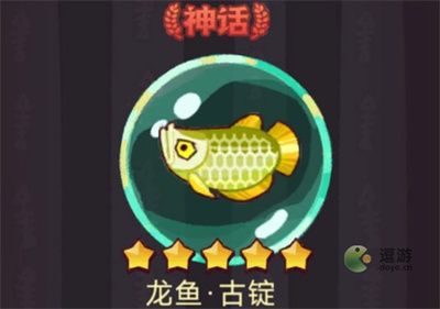 龍魚哪里買，線上購買龍魚可以通過多種途徑進行以下幾種途徑進行 龍魚百科 第4張