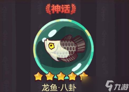 龍魚哪里買，線上購買龍魚可以通過多種途徑進(jìn)行以下幾種途徑進(jìn)行