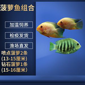 黑云魚冬季防病措施，黑云魚冬季養(yǎng)殖水溫控制技巧黑云魚冬季防病藥物使用建議 觀賞魚市場(chǎng)（混養(yǎng)魚） 第5張