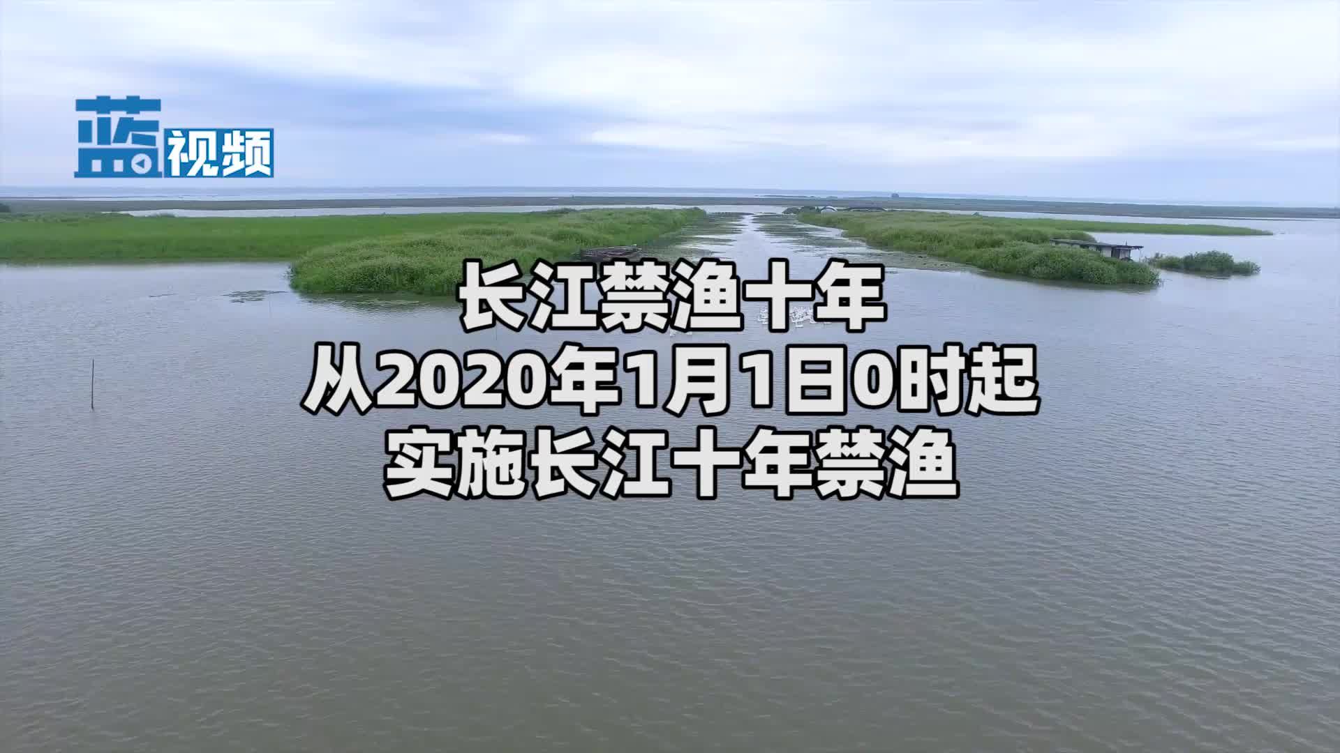 長江禁漁政策影響評估，長江禁漁對漁民生活的影響 觀賞魚市場（混養(yǎng)魚） 第2張