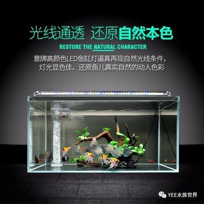 如何選擇魚缸LED燈光照，不同魚種適宜的燈光顏色選擇，魚缸led燈光照品牌推薦 觀賞魚市場（混養(yǎng)魚） 第3張