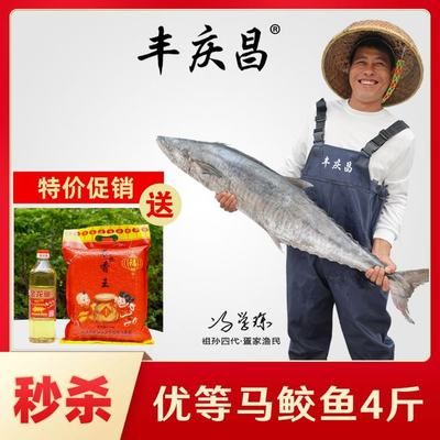 金龍魚海南總代理，關(guān)于金龍魚海南總代理的詳細信息 龍魚百科 第4張