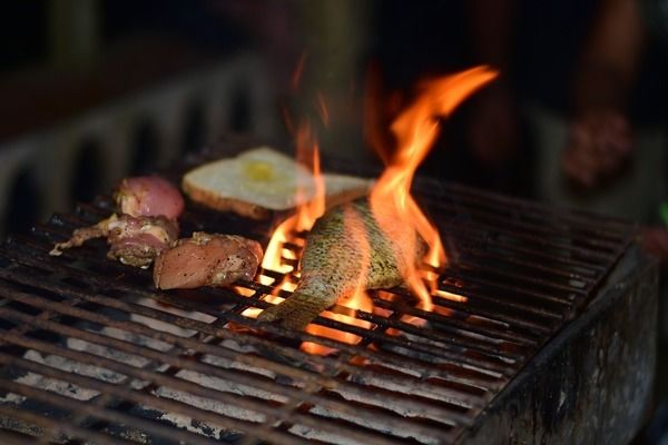 非洲金鼓魚(yú)的飲食習(xí)慣，非洲金鼓魚(yú)的飲食習(xí)慣主要包括以下幾種 觀(guān)賞魚(yú)市場(chǎng)（混養(yǎng)魚(yú)） 第4張