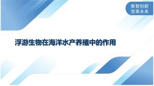 銀龍魚幾天不吃東西會餓死，關(guān)于銀龍魚的問題 水族問答