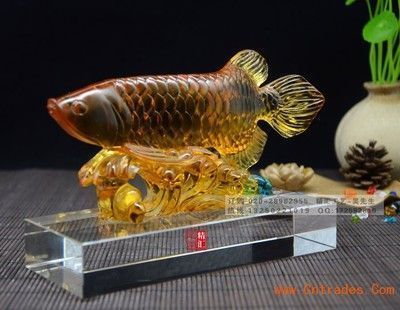 金龍魚魚缸放什么最好風(fēng)水呢，金龍魚魚缸擺放影響財(cái)運(yùn)嗎 魚缸百科 第3張