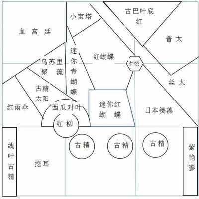 恐龍魚耐低溫嗎，恐龍魚在低溫環(huán)境下繁殖成功率受到溫度波動(dòng)的影響 水族問答