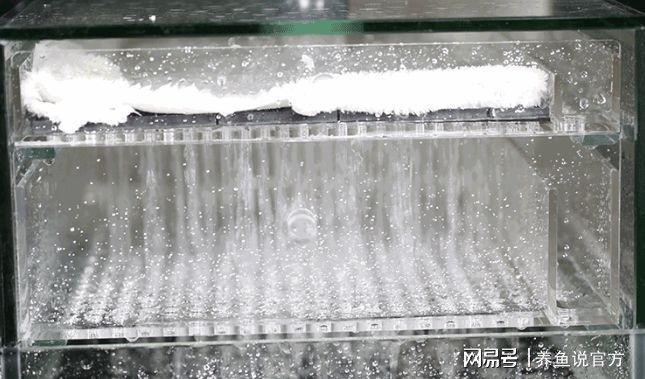 魚缸過濾器的正確使用方法，如何正確地安裝和維護魚缸過濾器？ 魚缸百科 第3張