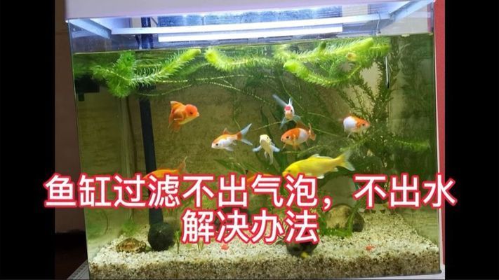 魚缸過濾器不出氧氣只出水，如何正確維護(hù)魚缸過濾器 魚缸百科 第6張