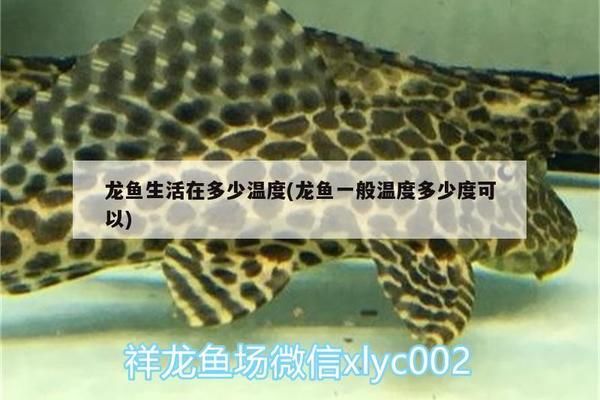 龍魚溫度最高可以承受多少度，龍魚可以承受的最高溫度大約是35度，但如何調(diào)整水溫