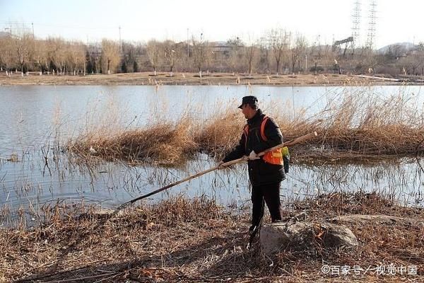 孔雀魚和龍魚混養(yǎng)好不好呢圖片，孔雀魚和龍魚可以混養(yǎng)嗎？ 水族問答