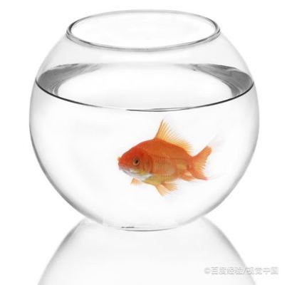 魚缸水好多泡泡怎么處理視頻，魚缸水質改善技巧減少魚缸泡沫的自然方法 魚缸百科 第6張