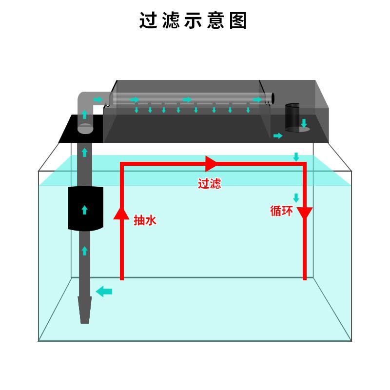 魚缸的過濾器怎么裝視頻，如何選擇合適的魚缸過濾器 魚缸百科 第6張