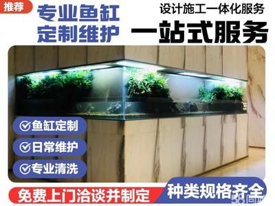 金龍魚油官網(wǎng)電話，如何在線購買金龍魚油？ 水族問答