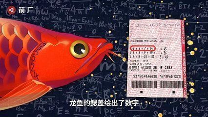 賣龍魚取一個店名字好嗎怎么取，為賣龍魚的店鋪取名的方法 龍魚百科 第1張