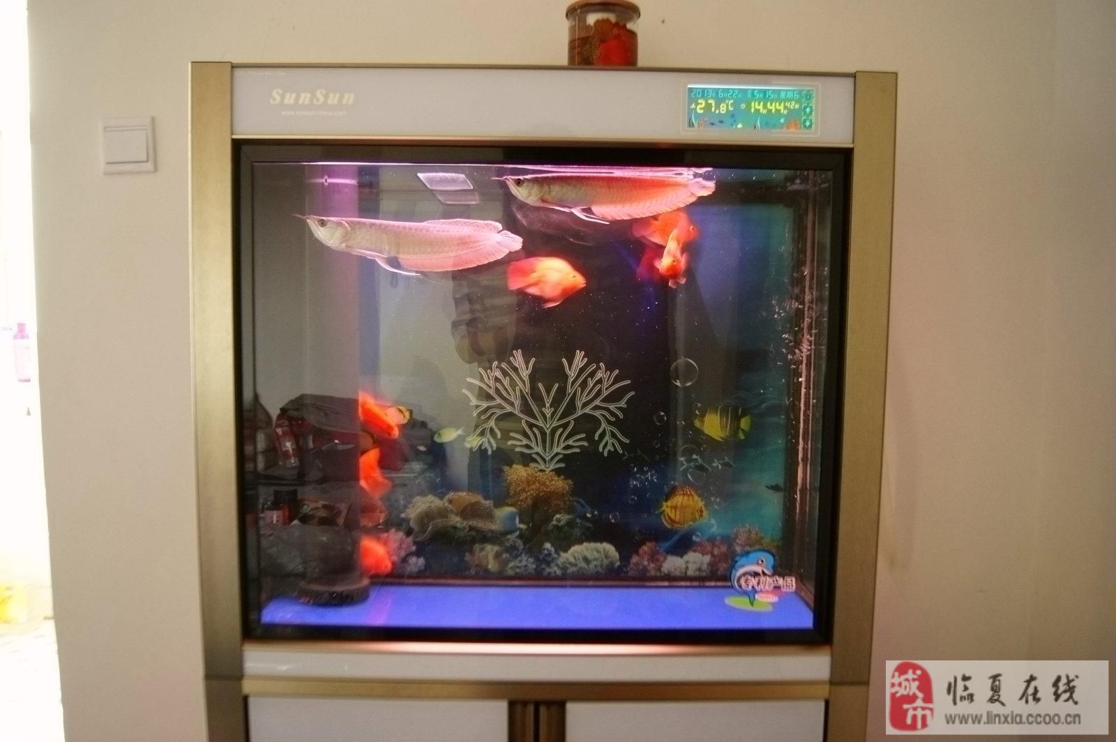 森森魚缸顯示屏換線，森森魚缸顯示屏尺寸型號查詢魚缸顯示屏安裝視頻教程 魚缸百科 第5張