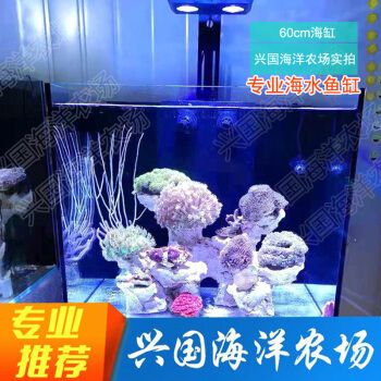 興國海（Singoseafarm）魚缸，興國海（singoseafarm）海水魚缸套裝價(jià)格對(duì)比 魚缸百科 第4張