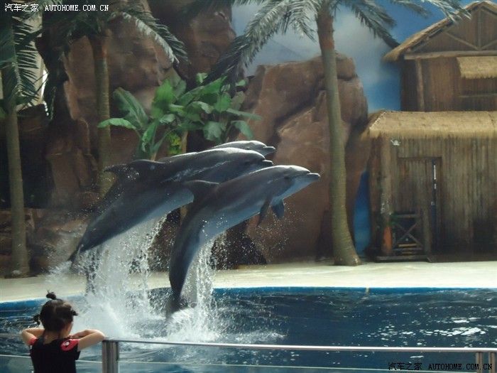 鞍山水族館，遼寧省鞍山市水族館