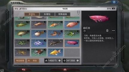 超血紅龍魚飲食搭配建議，超血紅龍魚增色飼料選擇，超血紅龍魚日常保健方法