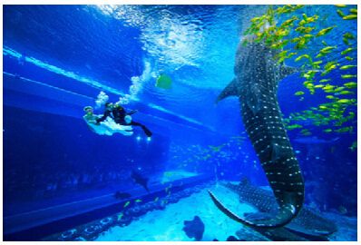 南寧水族館，中國廣西壯族自治區(qū)南寧市一個大型水族館旨在展示和保護各種海洋生物