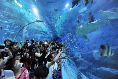 南寧水族館，中國廣西壯族自治區(qū)南寧市一個大型水族館旨在展示和保護各種海洋生物 魚缸百科 第5張