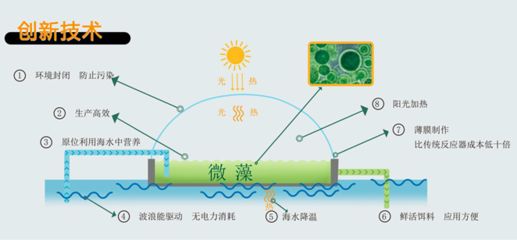 如何有效去除養(yǎng)殖水中的氨氮，養(yǎng)殖水中氨氮的重要性和方法，掌握有效的去除方法至關(guān)重要 觀賞魚市場(chǎng)（混養(yǎng)魚） 第3張