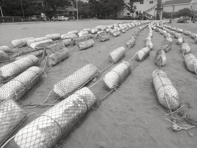 電磁防鯊器的工作原理，電磁防鯊器對海洋生物影響 觀賞魚市場（混養(yǎng)魚） 第1張