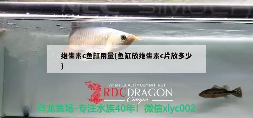 麥肯斯銀版魚疾病早期癥狀，麥肯斯銀版魚疾病早期癥狀如何預防魚病早期識別技巧 觀賞魚市場（混養(yǎng)魚） 第3張