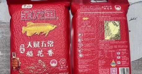 金龍魚有哪些品類，金龍魚是一種受歡迎的觀賞魚還涵蓋了廣泛的食品產(chǎn)品線 龍魚百科 第4張