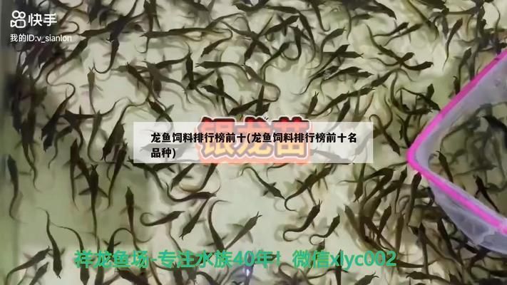 龍魚飼料排行榜前十名，2024年龍魚飼料排行榜 龍魚百科 第4張