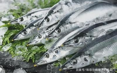 辨別秋刀魚新鮮度誤區(qū)，如何辨別秋刀魚新鮮度 觀賞魚市場（混養(yǎng)魚） 第5張