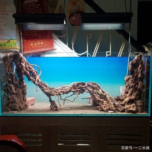 魚缸造景制作方法圖片，魚缸造景搭配水草指南魚缸造景燈光布置要點階梯式造景設(shè)計案例欣賞 魚缸百科 第5張