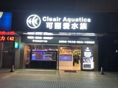 龍魚老孫水族用品店，龍魚老孫水族用品 龍魚百科 第4張