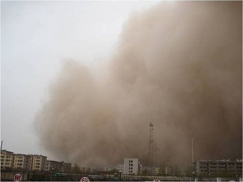 魚缸水變黃了是什么原因，如何正確使用沉木防止黃水魚缸水質(zhì)老化的解決方法 魚缸百科 第1張