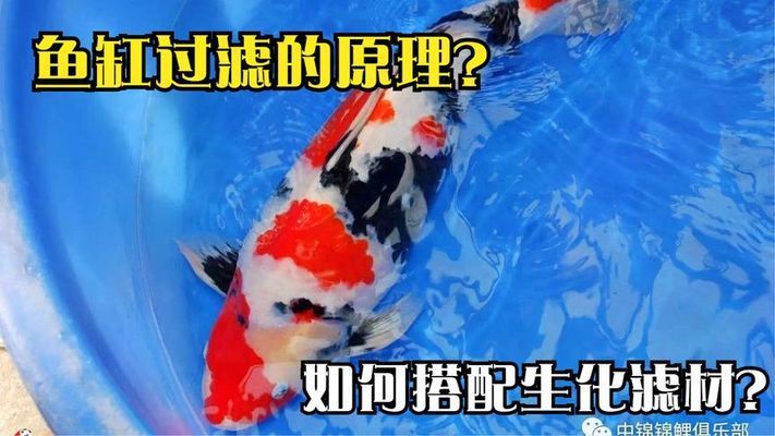 魚缸過濾系統(tǒng)的最佳配置，魚缸過濾系統(tǒng)的最佳配置方式