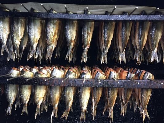 雷龍魚吃飼料嗎？，雷龍魚飼料品牌推薦雷龍魚飼料自制方法雷龍魚飼料營養(yǎng)價值 龍魚百科 第5張