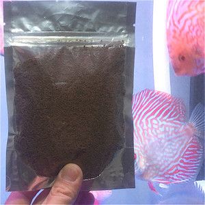 埃及神仙魚飼料自制方法，埃及神仙魚飼料自制方法包括使用人工飼料、搭配新鮮絲蚯蚓等天然餌料 觀賞魚市場（混養(yǎng)魚） 第2張