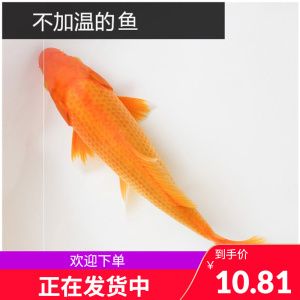 三色錦鯉魚苗適宜水溫范圍，三色錦鯉魚苗適宜的水溫范圍 觀賞魚市場（混養(yǎng)魚） 第2張