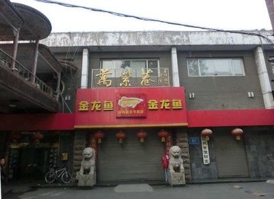 金龍魚加盟店 龍魚百科 第4張